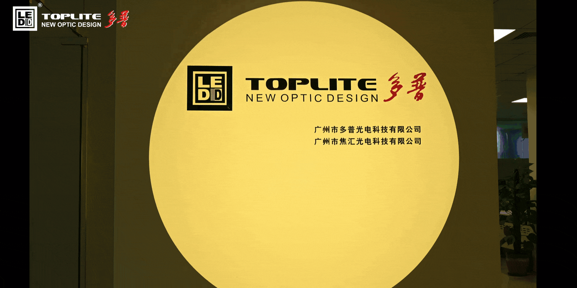 彩色光斑变色动图.gif